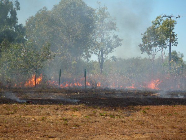 Controlled bushfires, Kakadu