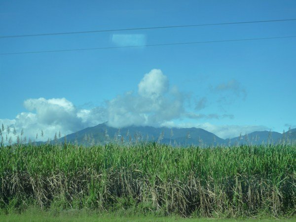 Hours and miles of sugar cane from Tilt Train