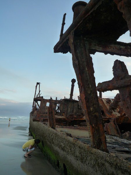 Nope, no survivors, Maheno shipwreck