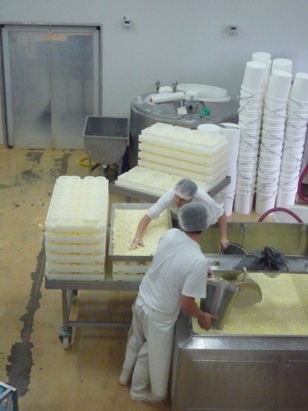 Cheesemakers at work, Maleny