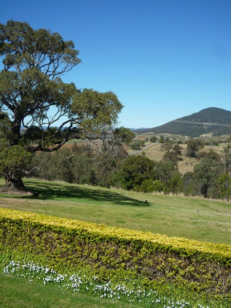 Viewing hill to hill in the Hunter Valley
