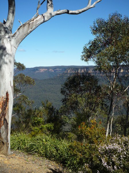 Other side of Echo Point, Blue Mountains