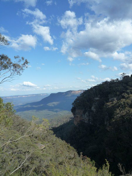 Top of the bushwalk, Blue Mountains