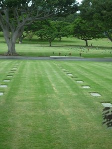 Military graves at the Punchbowl, Honolulu