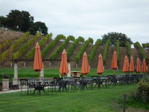 Shame it was raining at the Sonoma wineries