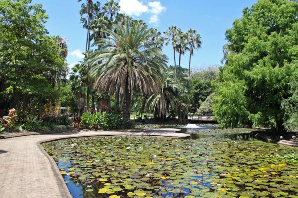 Brisbane botanical garden