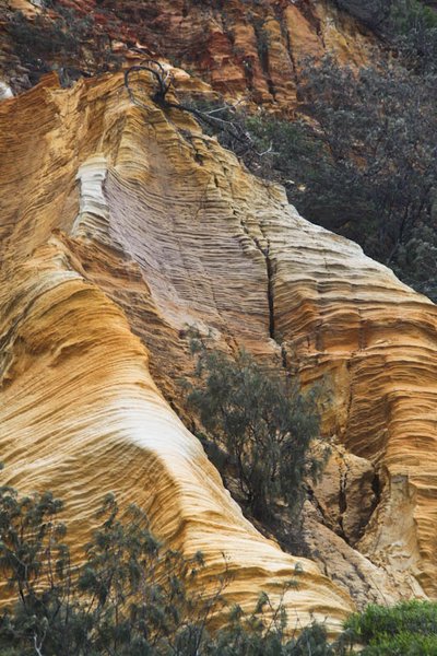 Fraser Island - orange rocks