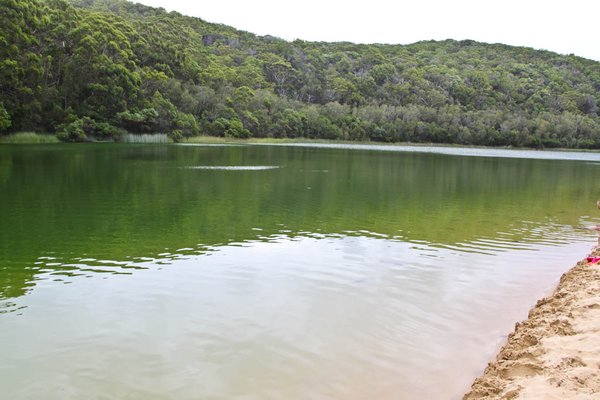 Fraser Island - Lake Wabby