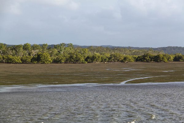 Fraser Island