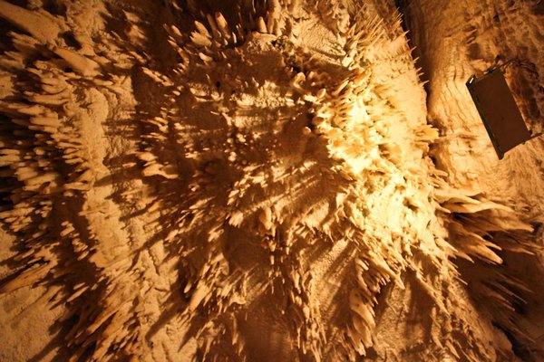 Waitomo cave