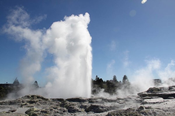 Rotorua - Te Puia geysers