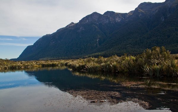 Mirror Lakes - On the road to Milford Sound