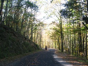 Herbst auf Frankreichs Strassen