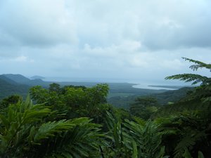 vue sur daintree rainforest et l'ocean