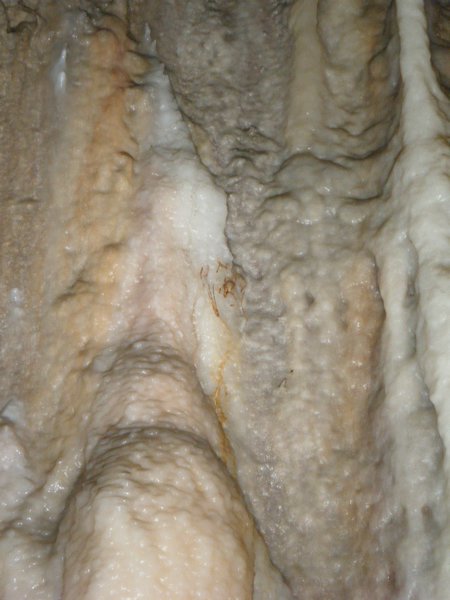 jenolan caves
