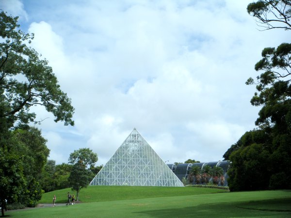 Pyramide au Royal Garden
