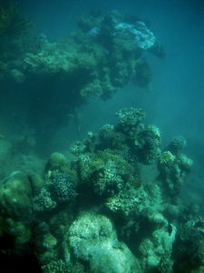 ningaloo reef