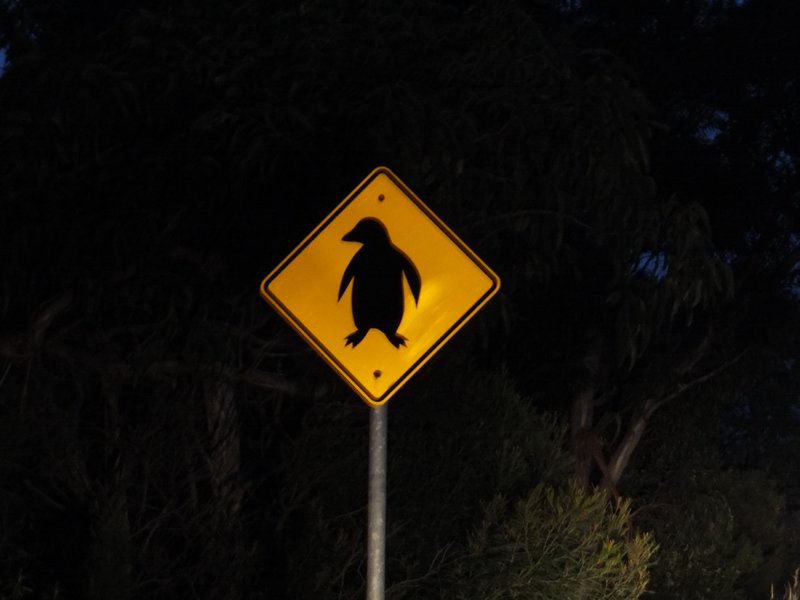 pinguin sign