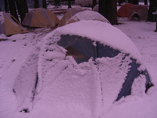 Snow covered tent