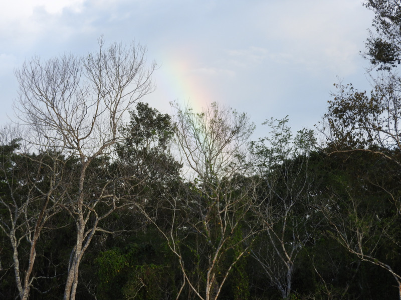 Amazon Rainbow