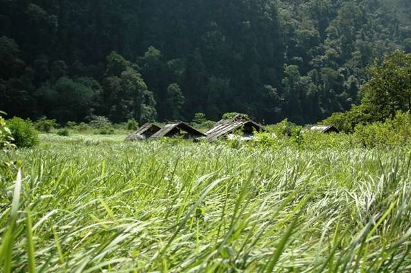 Local village hiding in the rice field at the secret valley