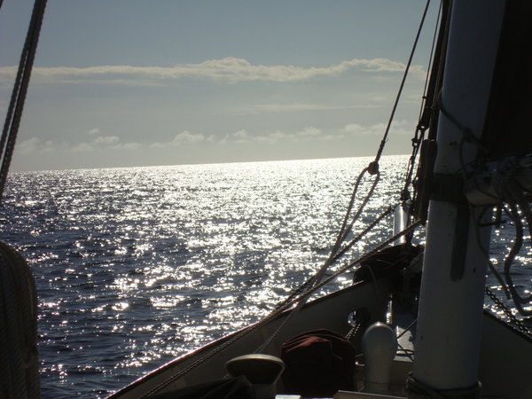 view under sail