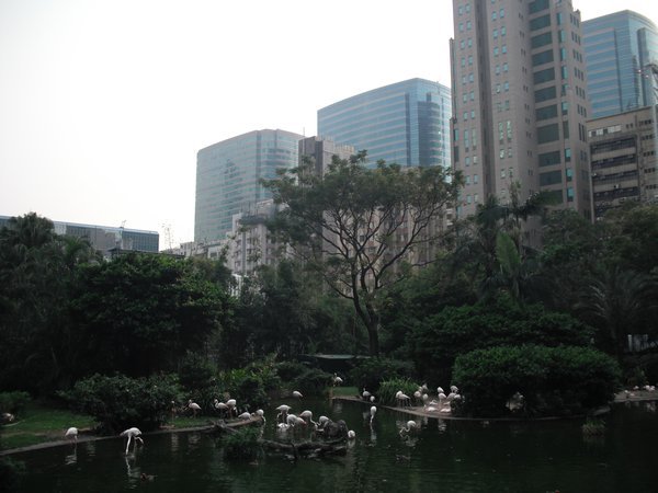 Kowloon Park 
