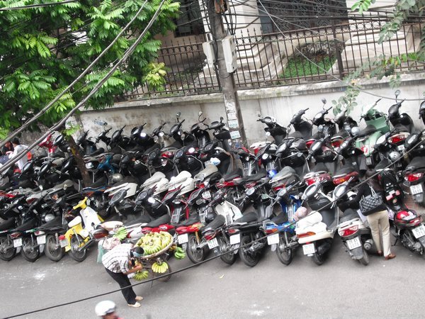 Lots of scooters