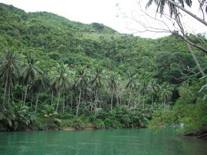 The Loboc River by day