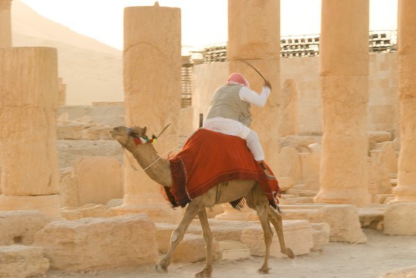 Blind camel Riding