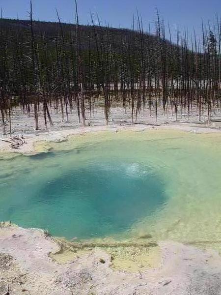 Another Spring in Yellowstone