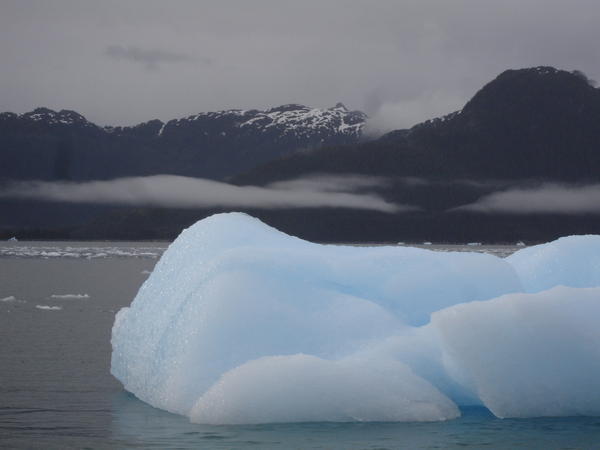 Iceberg's in Prince William Sound Alaska