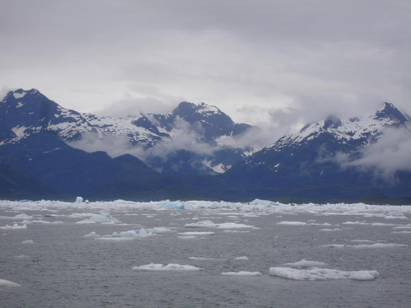 Iceberg's in Prince William Sound, AK