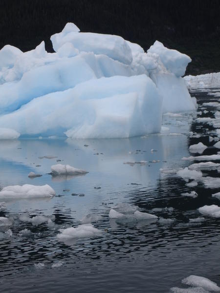 More alaskan icebergs