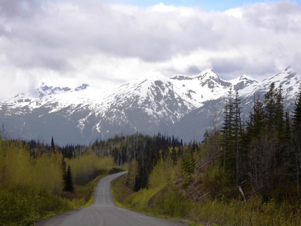 North to Alaska- Cassiar Stewart Highway, British Colombia