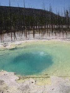 Another Spring in Yellowstone