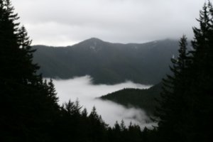 Hurrican Ridge on a very foggy day