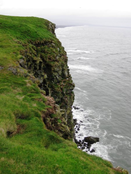 Sea Cliffs at Puffin Island