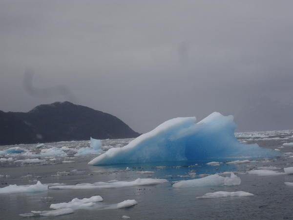 Icebergs outside of Colombia Glacier- Valdez, AK