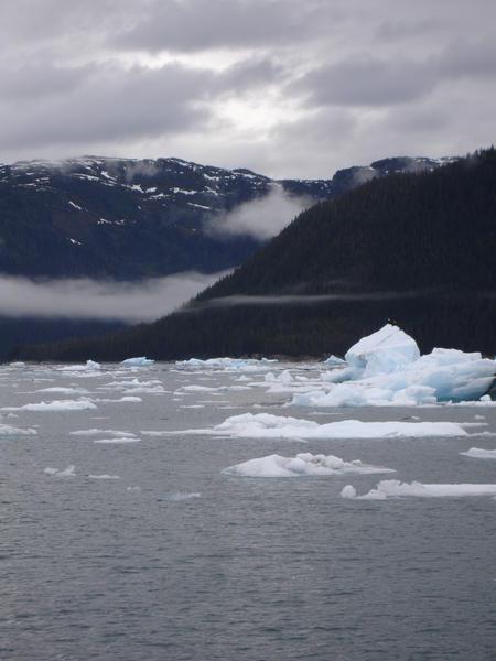 Icebergs outside of Colombia Glacier- Valdez, AK