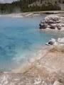 Hot Springs at Midway Geyser Basin