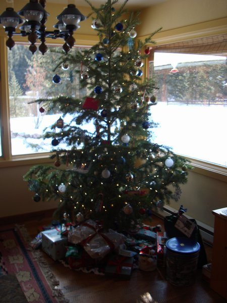 Oh Christmas tree, oh Christmas tree