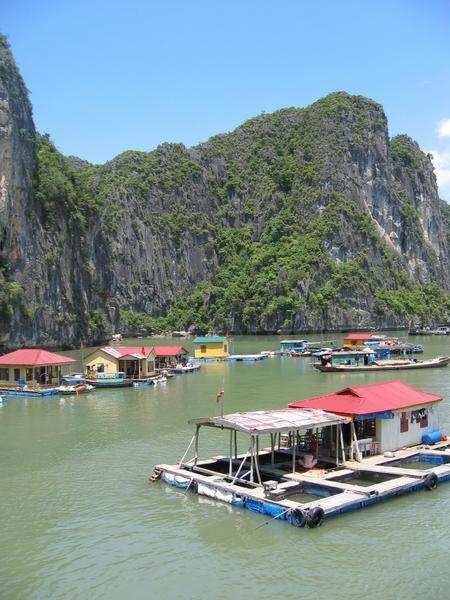 Floating village in Halong Bay