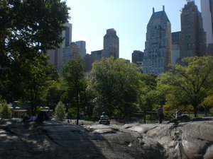 Central Park Central Park