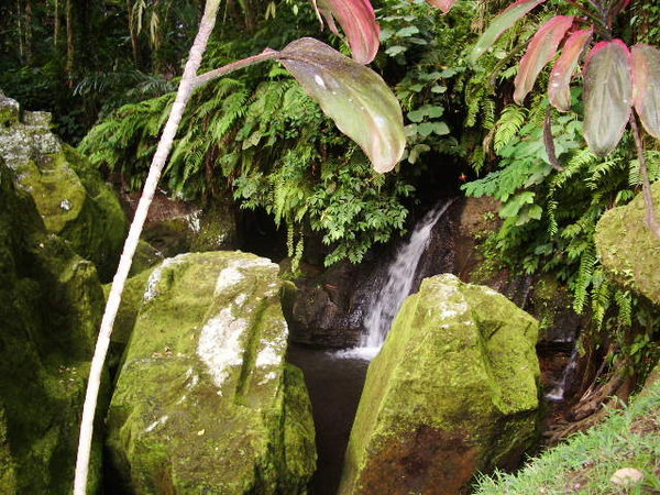 Waterfall near Temple