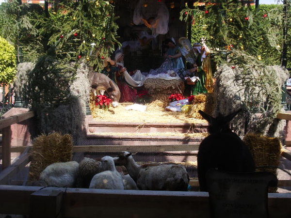 Nativity Scene at the Zacola