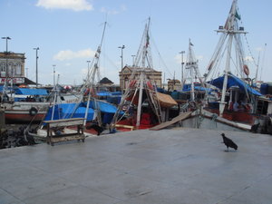 Port de Belem