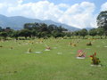Cementerio Montesacro