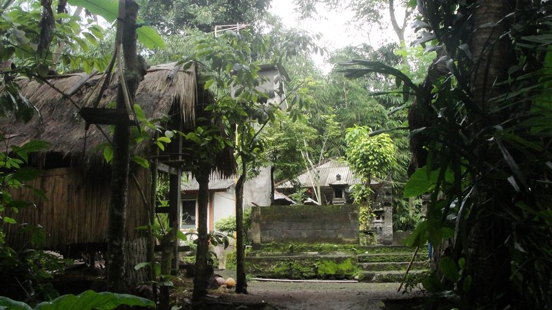 Village dans la jungle