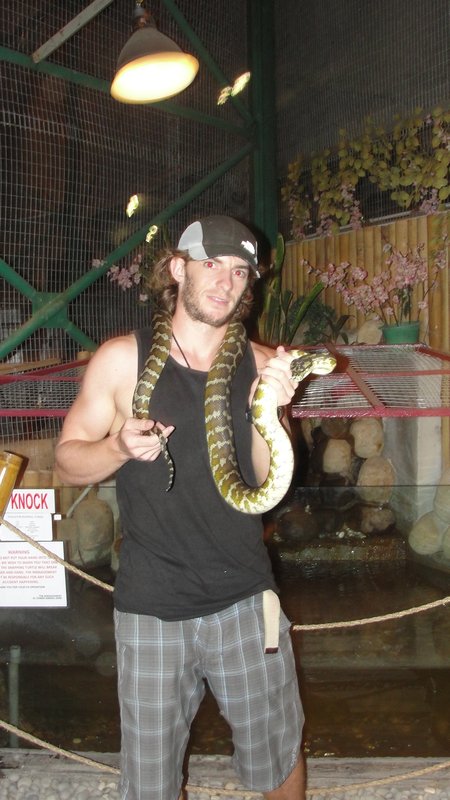 Dave + serpent